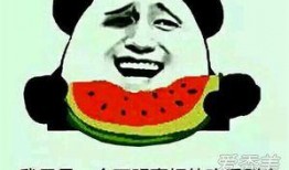 朝阳吃瓜群众什么意思,网络热词背后的社会现象